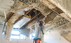 Best Asbestos and Lead Testing During Mold Inspection  in Centerville, OH